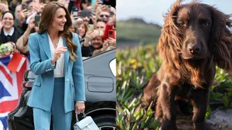 O truque de Kate Middleton para educar seu novo pet; descubra