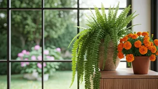 How Native Marigolds And Ferns Brighten Homes Today
