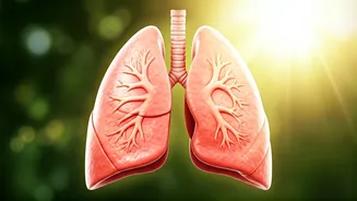 Diwali: Yoga Can Help Your Lungs Breathe Easy