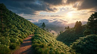 Anand Mahindra's Surprise Discovery: Meghahatuburu, Jharkhand's Unseen Hill Station