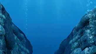 Pacific Plate Subduction Drives Many of Japan's Strongest Offshore Earthquakes