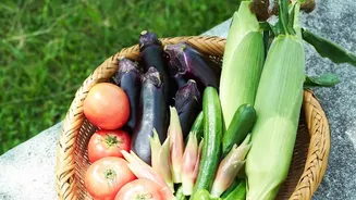 October Gardening: Easy Crops For Urban Indian Homes