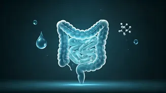 Gut, Hydration And Protein Own The Drinks Chat