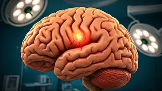 Understanding Brain Aneurysms: Symptoms, Causes, and More