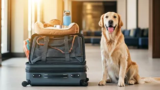 Pet-Friendly Policies Can Make Or Break Trips