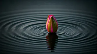 Mastering Interactions: 5 Psychology-Backed Ways to Handle Negativity