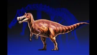 Alemanha irá devolver fóssil de dinossauro brasileiro Irritator challengeri