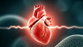 Ancient Chinese Baduanjin: A 10-Minute Practice as Effective as Brisk Walking for Lowering High Blood Pressure