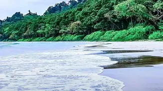 Goa’s Quiet Monsoon Months Are Gaining Popularity Among Holidaymakers