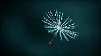 Related Stories banner