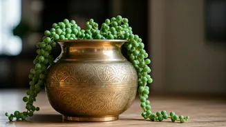 Turn Antique Indian Brass Pots Into Elegant Indoors Holder
