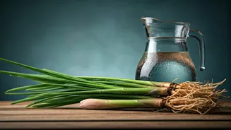 Beat Summer Sweat Easily Using Traditional Ancient Vetiver Infusions