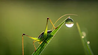 Pisces Daily Horoscope: March 24, 2026 - Navigating the Day with Care