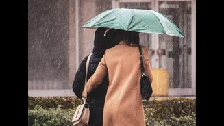Monsoon just took over the entire south and east — Bihar and Odisha just joined the map