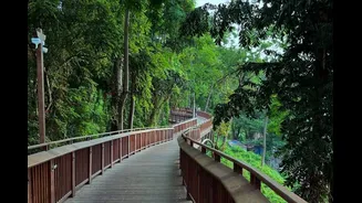 Love But Make It Wild: 5 Nature Walks To Visit This Valentine’s Weekend In Mumbai