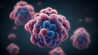 India Focuses On Gut Health