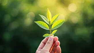 Young Indians Exclusively Filter For Zero Emission Eco Brands
