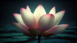 10 Enchanting Sanskrit Baby Names Blending Ancient Wisdom with Modern Chic
