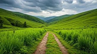 The Hills Of North India Never Looked Greener