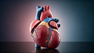 Weekly Health Insights: Zodiac Guide (November 17-23)