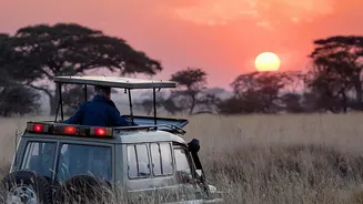 India’s First Urban Night Safari Could Change How Visitors Experience Wildlife