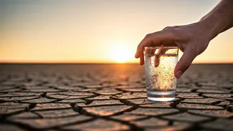 Heatwave Perils: From Subtle Dehydration to Life-Threatening Heatstroke in India