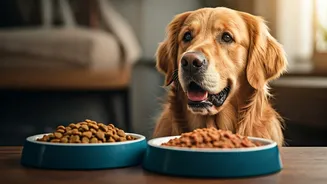 Monsoon Pet Diets Are Becoming A Real Thing
