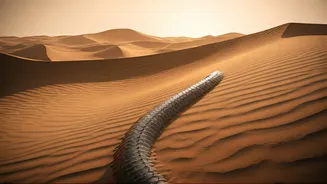 Mars Rover Mimics Desert Lizard for Advanced Sand Navigation