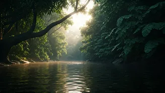 Related Stories banner