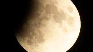Skywatching In August: Celestial Events To Look For From India