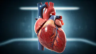 Men's Hearts Lead the Way: Cardiovascular Disease Emerges 7 Years Sooner, New Study Reveals