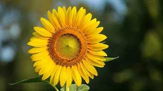 Healing After a Split: Finding Yourself After a Breakup