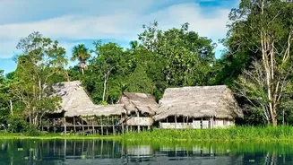 Rainforest Lodges Promise Peace Beyond The City