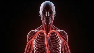 Daily Wellness: Listen to Your Body