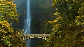 Explore Magnificent Sohra Waterfalls And Living Root Bridges In Autumn Season