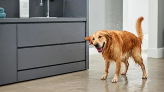 Wet-paw entryways reshape home design