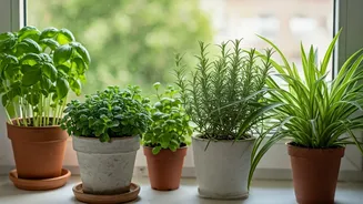 Related Stories banner