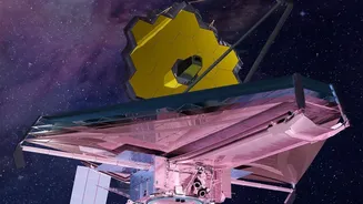 Webb Maps Gas and Dust around NGC 2392 using NIRCam and MIRI