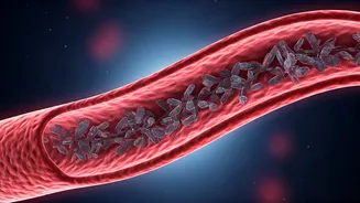 The Hidden Heart Risk: Unpacking Lipoprotein(a) and Its Impact on Cardiovascular Health