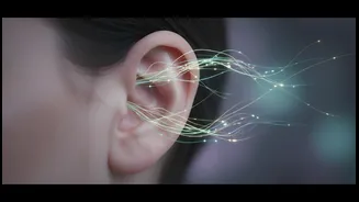 Hearing Care Should Not Wait Until Communication Becomes Severely Difficult