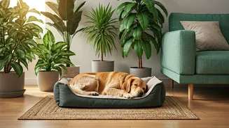 Greener Living Formats Benefit Both Humans And Furry Flatmates