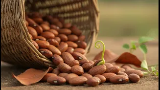 The Real Opportunity in Horse Gram Goes Beyond Affordable Regional Pulse Cooking