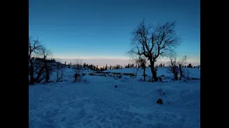 Kashmir Experiences Freezing Nights Amid Cooling Trend