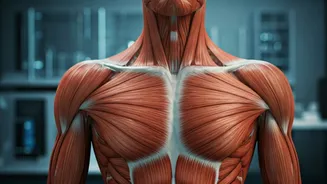 Biohybrid Robots: Muscle-Powered Movement