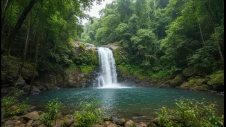 Inland Waterfalls Are Becoming Goa's New Favourite Escape for Slow Travellers