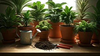 Indoor Plant Wellness Is A Family Affair Now
