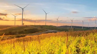 PM-KUSUM: Incentives for solar farming