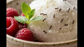 Sobremesa com formigas: restaurante com 2 estrelas Michelin é multado