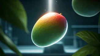India's Favorite Fruit Just Got Better