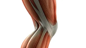 Calf Raises: The Simple Exercise Gastroenterologists Swear By for Blood Sugar Control